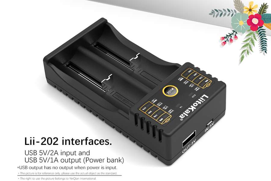 Параметры входа (сеть 220 В-адаптер) и выхода (функция Power Bank)