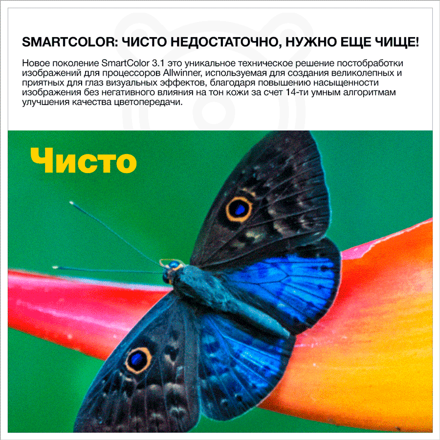 SmartColor 3.1 x96q
