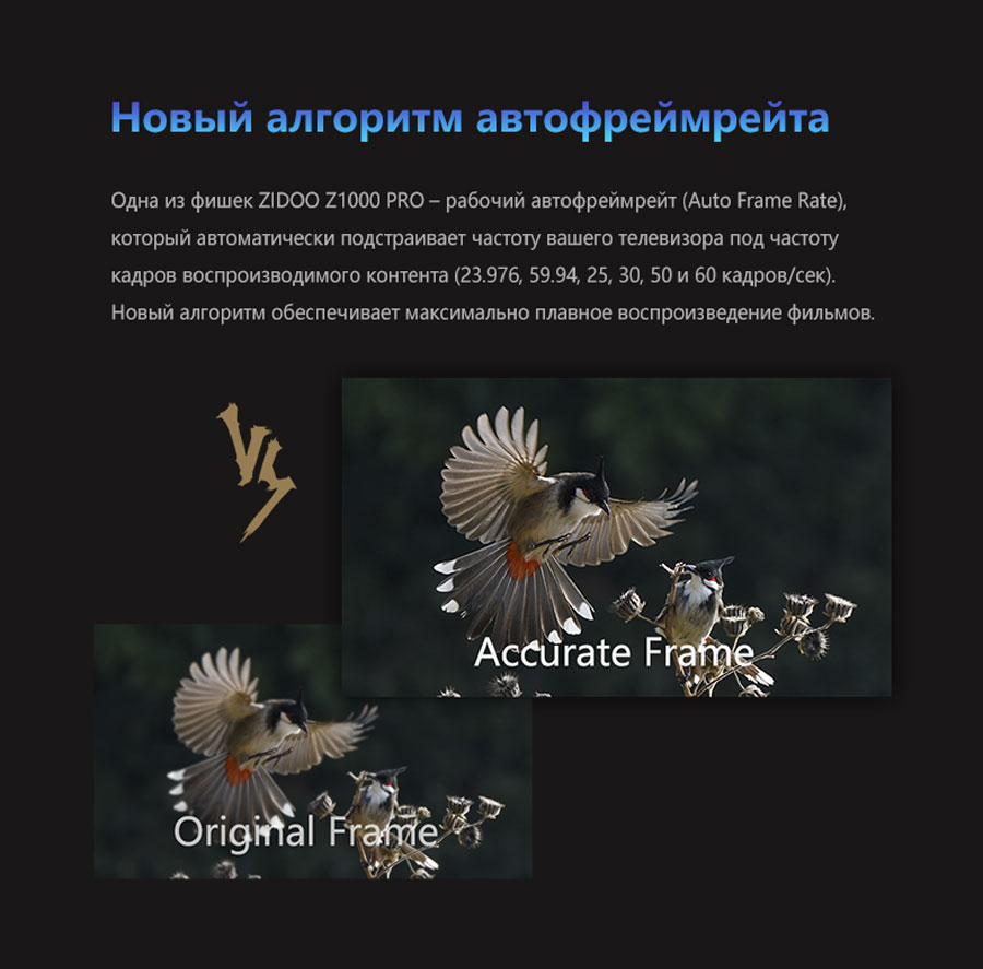 Автофреймрейт на ZIDOO Z1000 PRO