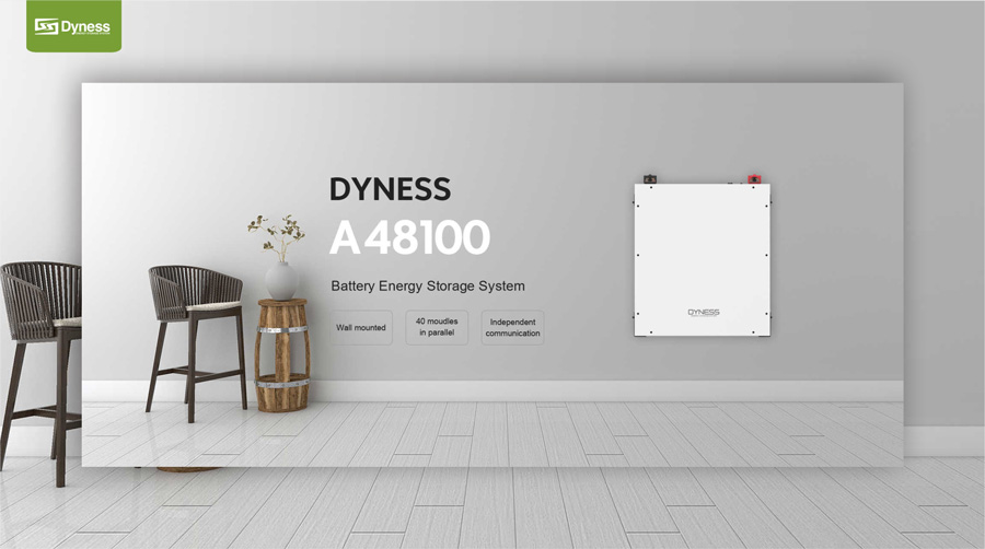 АКБ Dyness A48100
