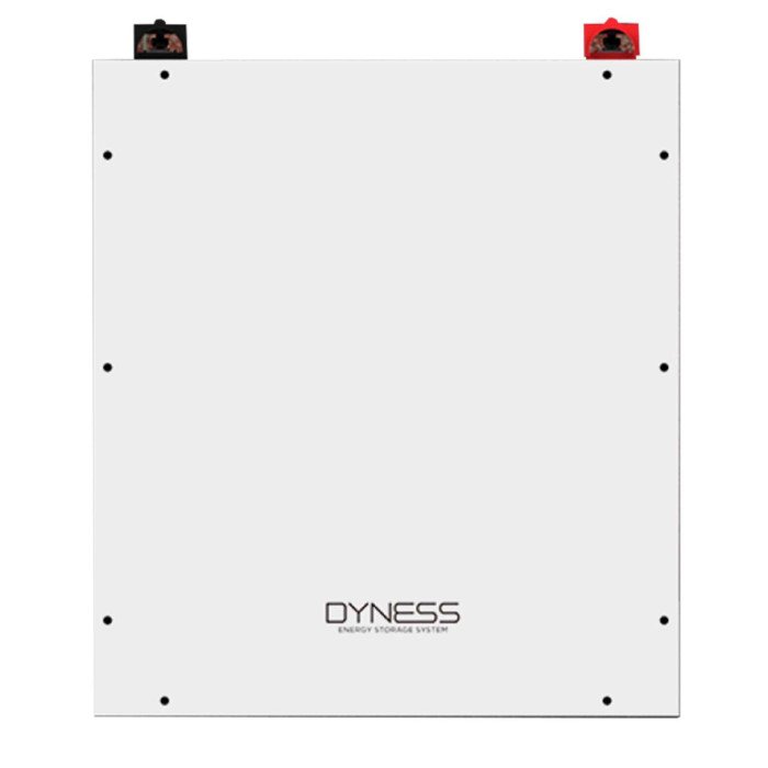 Аккумулятор Dyness DL5.0C [LiFePO4, 51,2V, 5,12kWh]