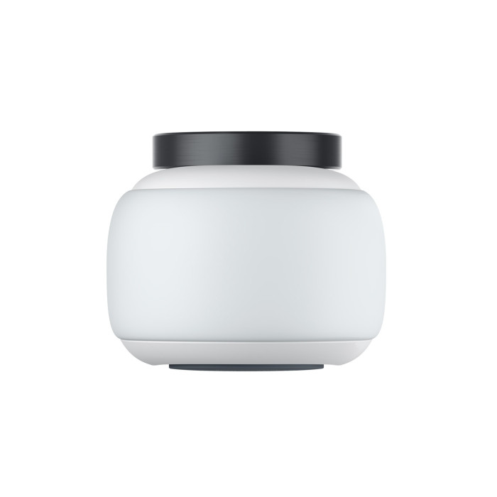 Панорамная камера Insta360 GO2
