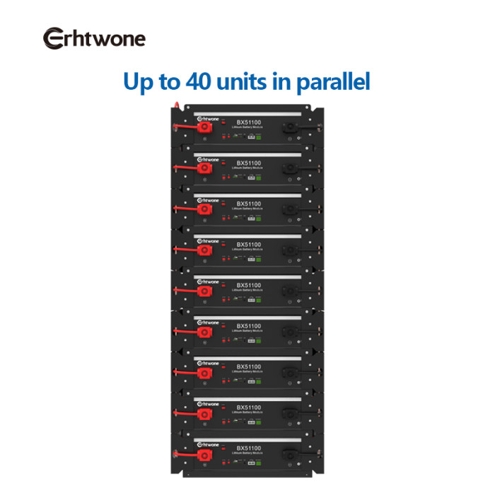 Lifepo4 аккумулятор Erhtwone (Dyness) BX51100 5.12 КВт 51,2В