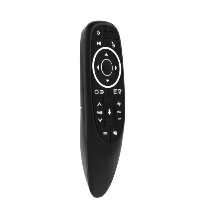 Air mouse G10S Pro