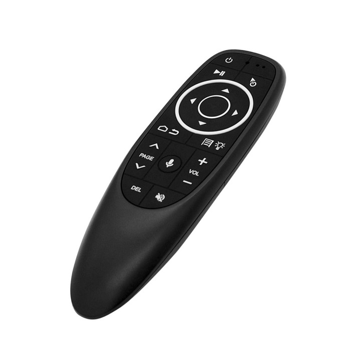 Air mouse G10S Pro